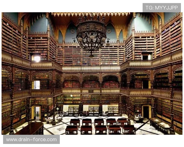 尊龙d88新版官网下载入口,快速便捷的官方渠道推荐指南