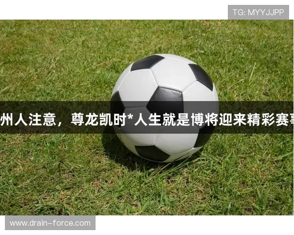 尊龙人生就是博新版游戏文化内涵，感受深厚底蕴丰富人生精神世界