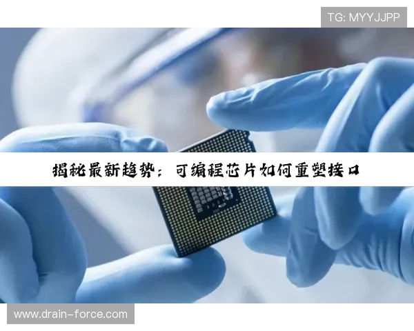 尊龙官网手机版下载尊龙凯时,官方正版下载渠道推荐与安装步骤详解 尊龙官网手机版下载尊龙凯时,官方正版下载渠道推荐与安装步骤详解