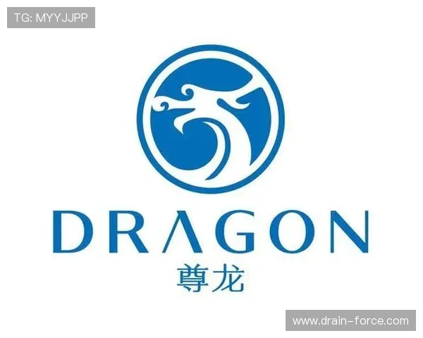 尊龙d88平台安卓版下载官方渠道推荐，确保账号安全与游戏流畅体验