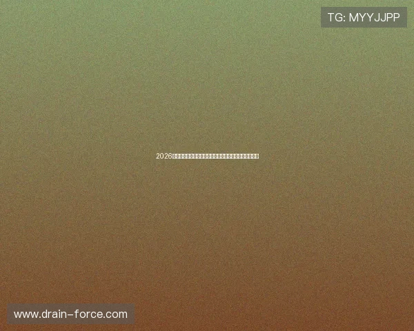 2026年世界杯新西兰与埃及球队阵容变化及核心球员最新动态
